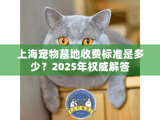 上海宠物墓地收费标准是多少？2025年权威解答