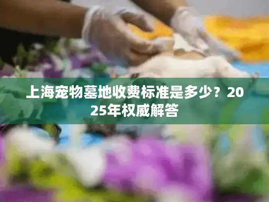 上海宠物墓地收费标准是多少？2025年权威解答