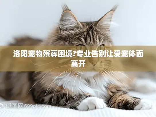 洛阳宠物殡葬困境?专业告别让爱宠体面离开
