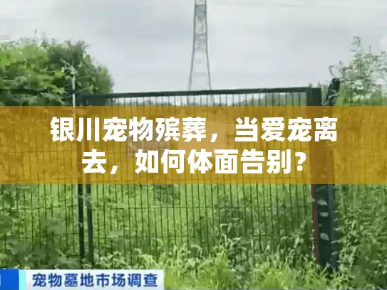 银川宠物殡葬，当爱宠离去，如何体面告别？