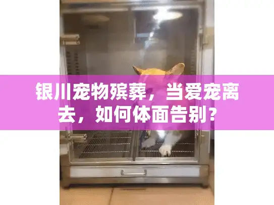 银川宠物殡葬，当爱宠离去，如何体面告别？