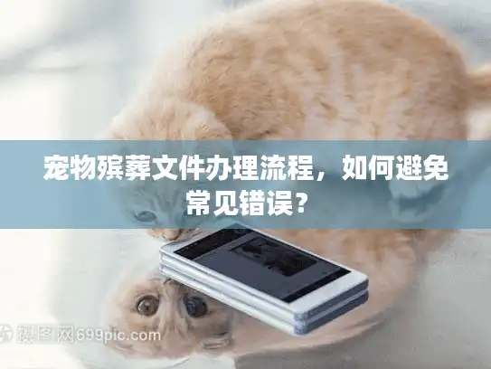 宠物殡葬文件办理流程，如何避免常见错误？
