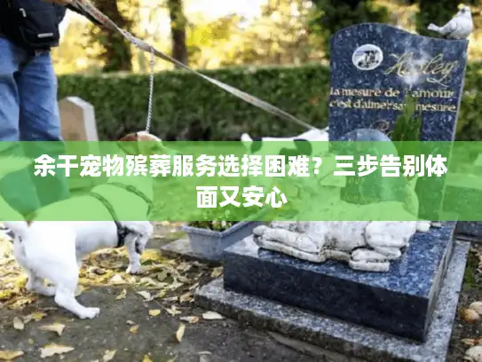 余干宠物殡葬服务选择困难？三步告别体面又安心