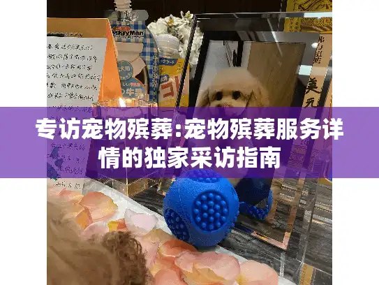 专访宠物殡葬:宠物殡葬服务详情的独家采访指南