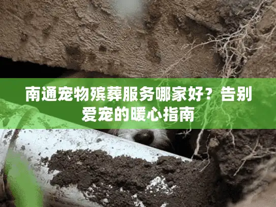 南通宠物殡葬服务哪家好？告别爱宠的暖心指南