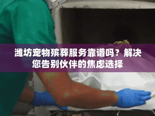 潍坊宠物殡葬服务靠谱吗？解决您告别伙伴的焦虑选择