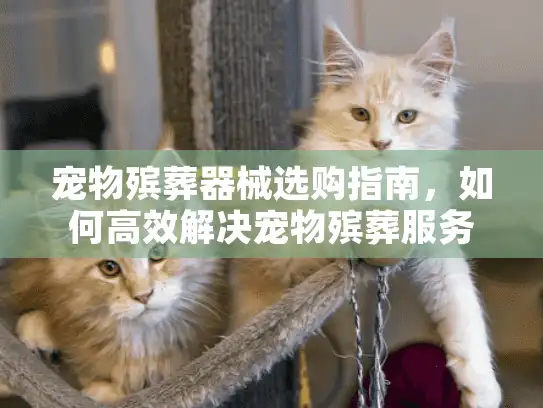 宠物殡葬器械选购指南，如何高效解决宠物殡葬服务难题