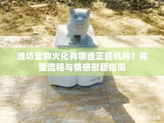 潍坊宠物火化有哪些正规机构？完整流程与情感慰藉指南