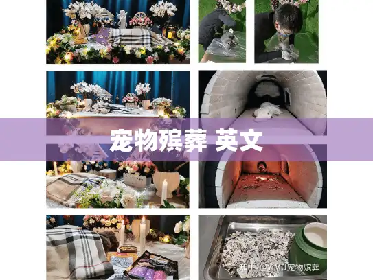 宠物殡葬 英文