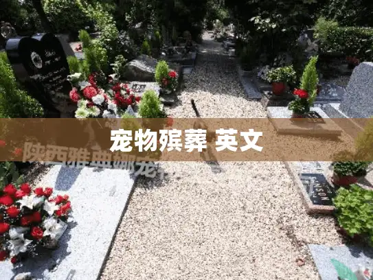 宠物殡葬 英文