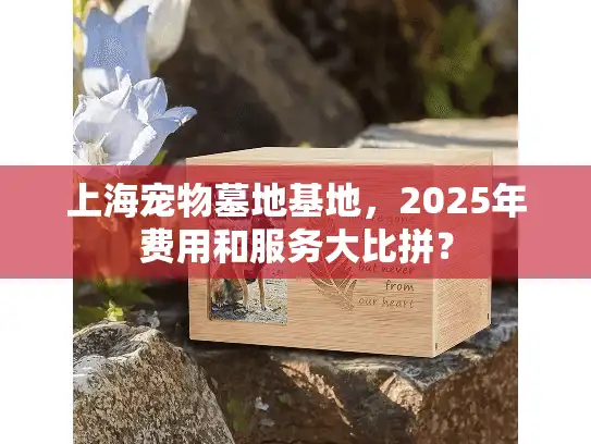 上海宠物墓地基地，2025年费用和服务大比拼？