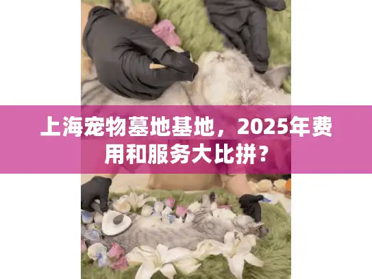上海宠物墓地基地，2025年费用和服务大比拼？