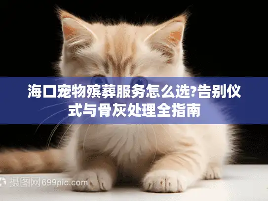海口宠物殡葬服务怎么选?告别仪式与骨灰处理全指南