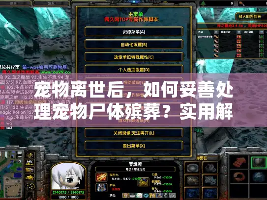 宠物离世后，如何妥善处理宠物尸体殡葬？实用解决方案分享