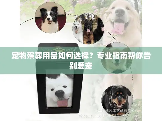 宠物殡葬用品如何选择？专业指南帮你告别爱宠