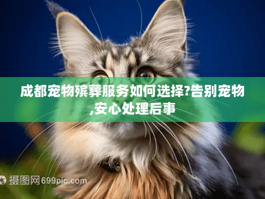 成都宠物殡葬服务如何选择?告别宠物,安心处理后事