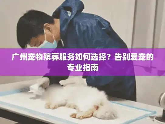 广州宠物殡葬服务如何选择？告别爱宠的专业指南