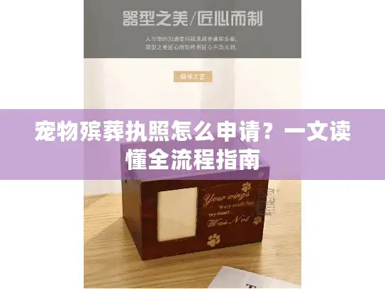 宠物殡葬执照怎么申请？一文读懂全流程指南