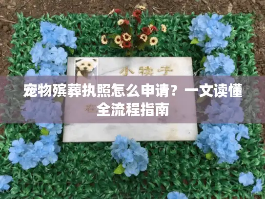 宠物殡葬执照怎么申请？一文读懂全流程指南