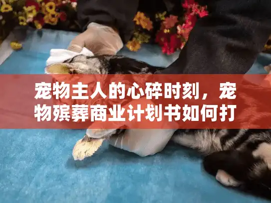 宠物主人的心碎时刻，宠物殡葬商业计划书如何打造慰藉之旅？