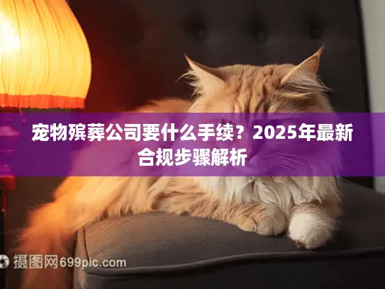 宠物殡葬公司要什么手续？2025年最新合规步骤解析