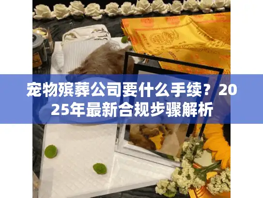 宠物殡葬公司要什么手续？2025年最新合规步骤解析