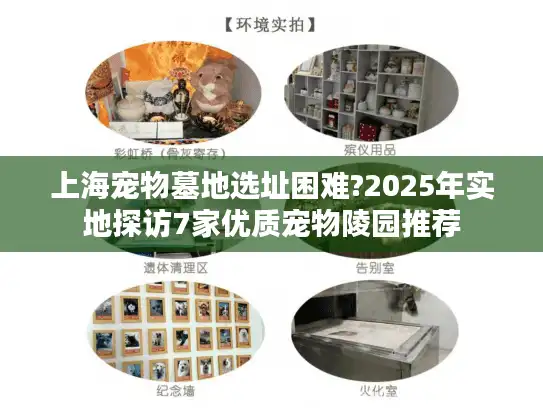 上海宠物墓地选址困难?2025年实地探访7家优质宠物陵园推荐