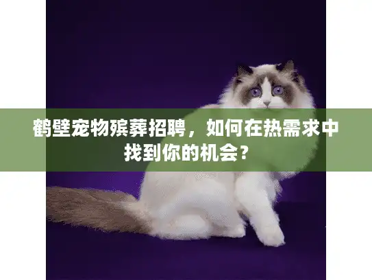 鹤壁宠物殡葬招聘，如何在热需求中找到你的机会？