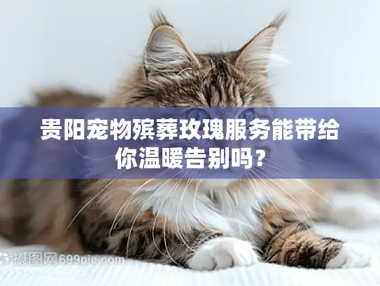 贵阳宠物殡葬玫瑰服务能带给你温暖告别吗？