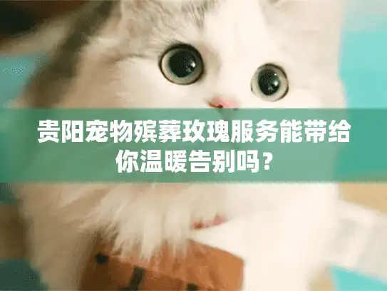 贵阳宠物殡葬玫瑰服务能带给你温暖告别吗？