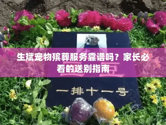 生斌宠物殡葬服务靠谱吗？家长必看的送别指南