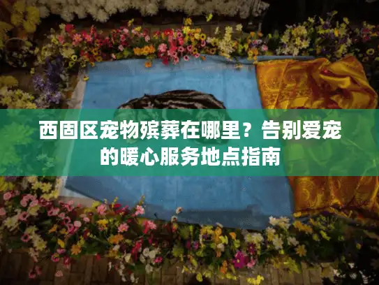 西固区宠物殡葬在哪里？告别爱宠的暖心服务地点指南