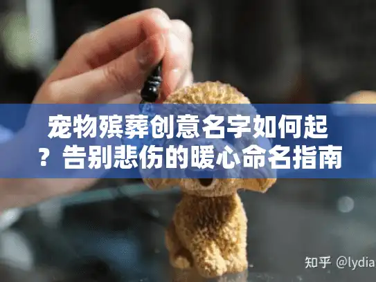 宠物殡葬创意名字如何起？告别悲伤的暖心命名指南