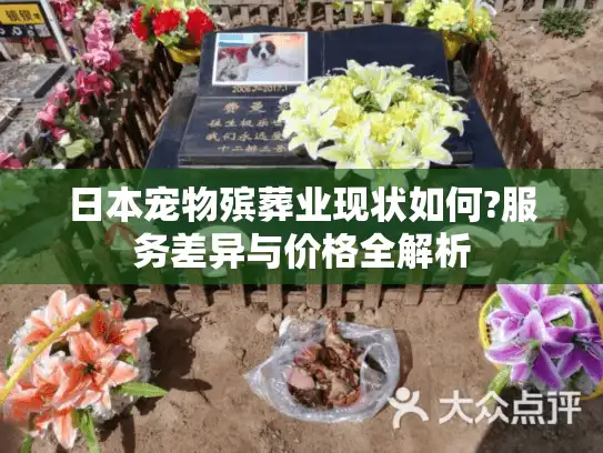 日本宠物殡葬业现状如何?服务差异与价格全解析