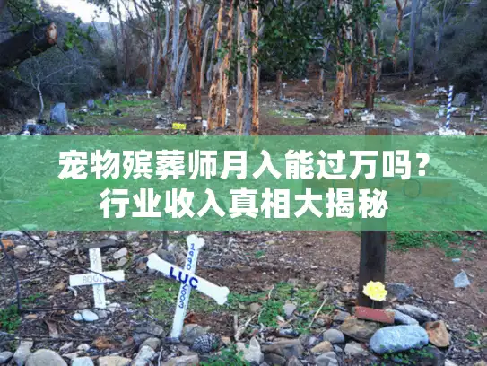 宠物殡葬师月入能过万吗？行业收入真相大揭秘