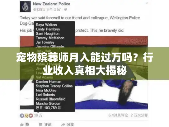 宠物殡葬师月入能过万吗？行业收入真相大揭秘