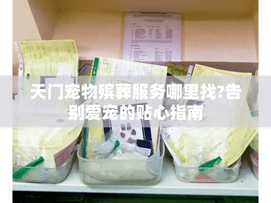 天门宠物殡葬服务哪里找?告别爱宠的贴心指南