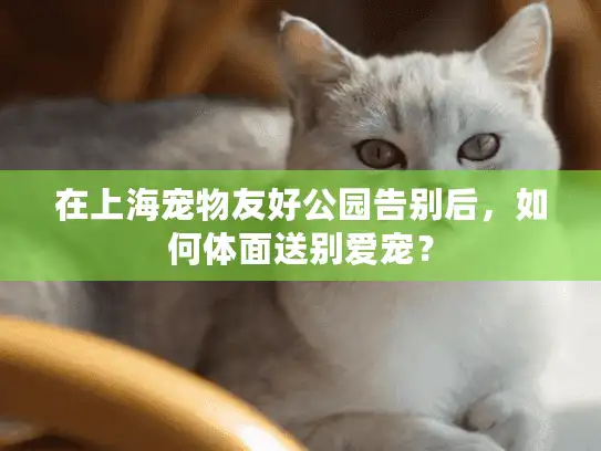 在上海宠物友好公园告别后，如何体面送别爱宠？