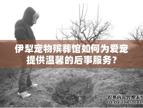 伊犁宠物殡葬馆如何为爱宠提供温馨的后事服务？