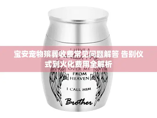 宝安宠物殡葬收费常见问题解答 告别仪式到火化费用全解析