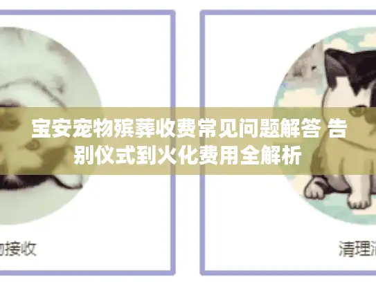 宝安宠物殡葬收费常见问题解答 告别仪式到火化费用全解析
