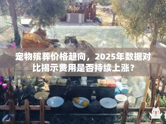 宠物殡葬价格趋向，2025年数据对比揭示费用是否持续上涨？