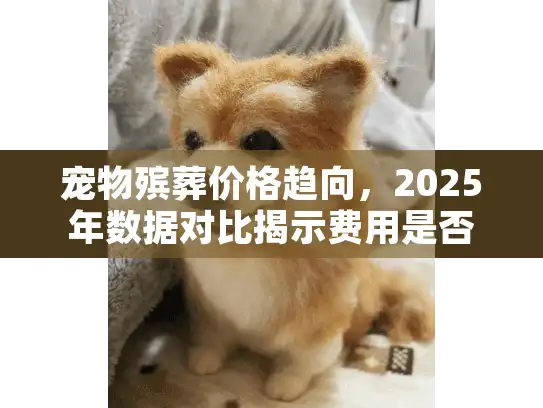 宠物殡葬价格趋向，2025年数据对比揭示费用是否持续上涨？