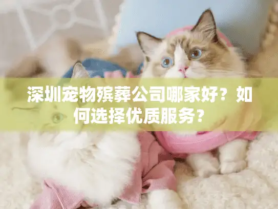 深圳宠物殡葬公司哪家好？如何选择优质服务？