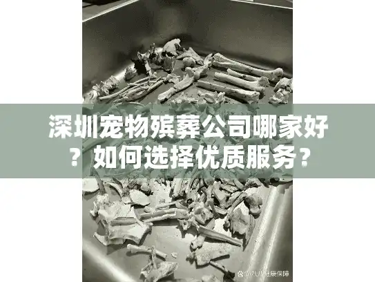 深圳宠物殡葬公司哪家好？如何选择优质服务？