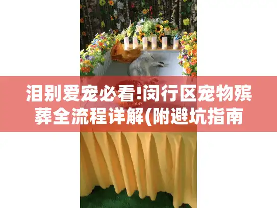 泪别爱宠必看!闵行区宠物殡葬全流程详解(附避坑指南)