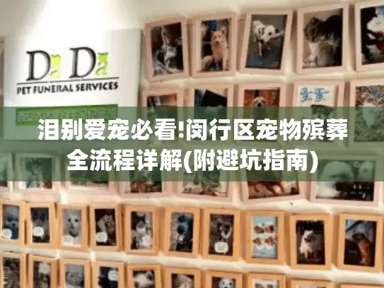 泪别爱宠必看!闵行区宠物殡葬全流程详解(附避坑指南)