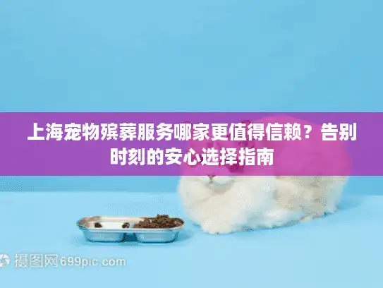 上海宠物殡葬服务哪家更值得信赖？告别时刻的安心选择指南