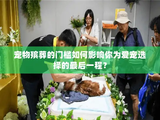 宠物殡葬的门槛如何影响你为爱宠选择的最后一程？