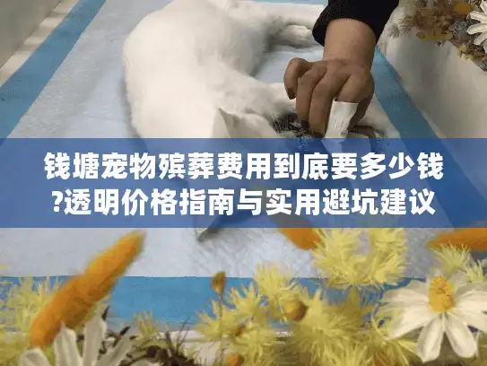 钱塘宠物殡葬费用到底要多少钱?透明价格指南与实用避坑建议